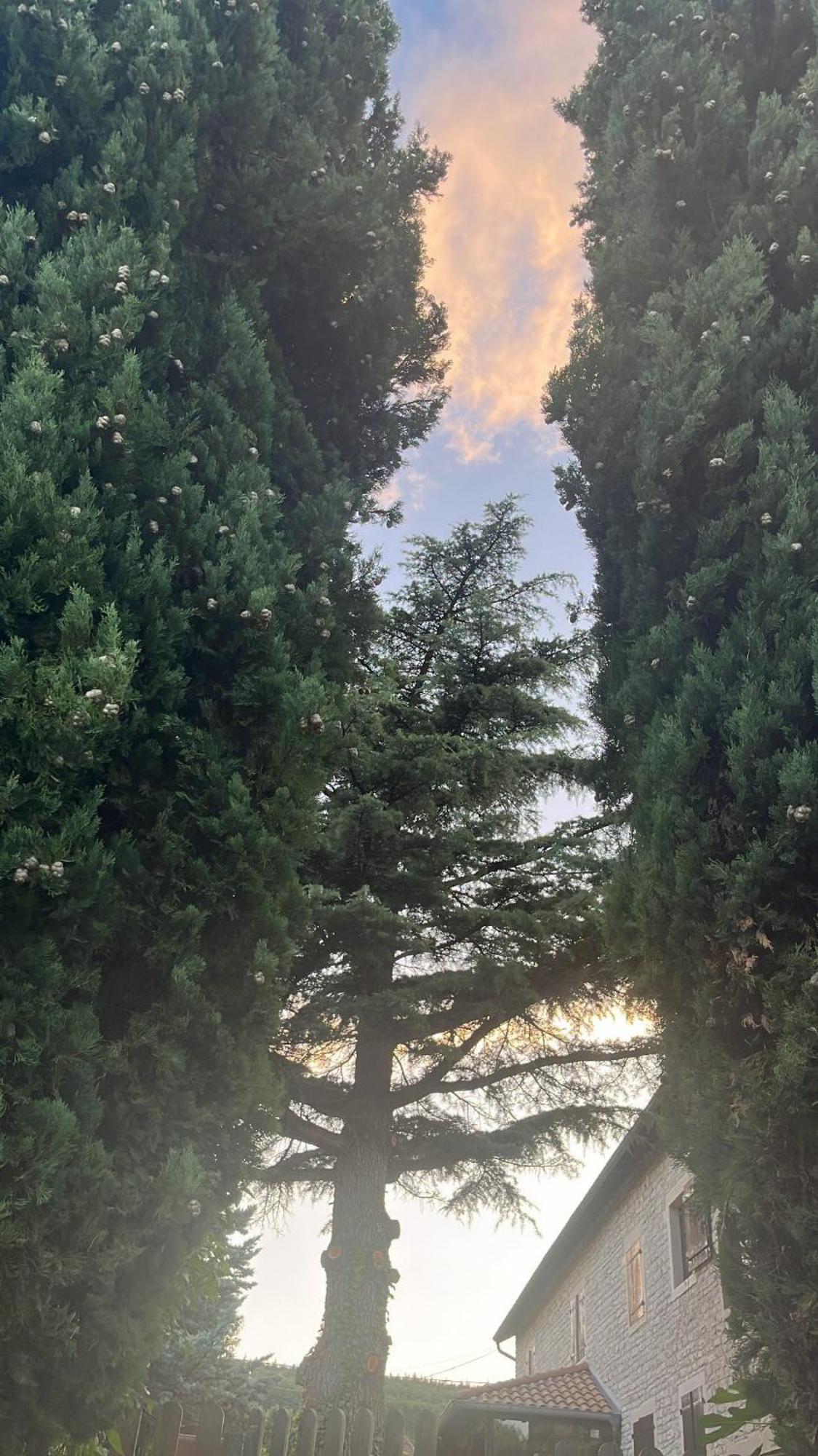 Domaine Bassy Ξενοδοχείο Saint-Gengoux-de-Scissé Εξωτερικό φωτογραφία