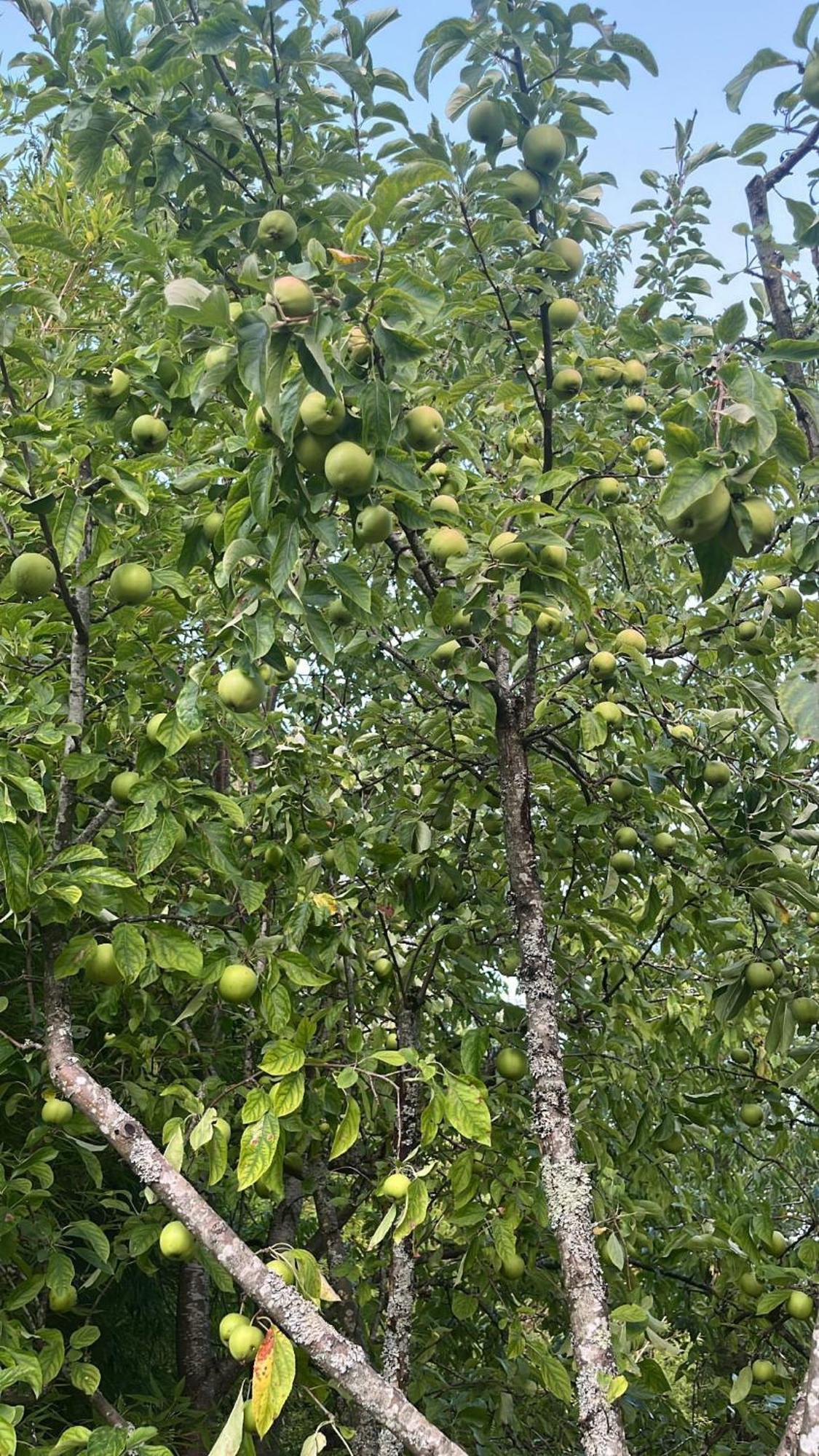 Domaine Bassy Ξενοδοχείο Saint-Gengoux-de-Scissé Εξωτερικό φωτογραφία